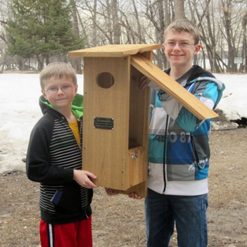 nestbox-plans-for-large-birds