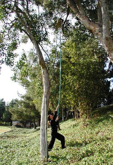 Linda Violett hanging nestboxes