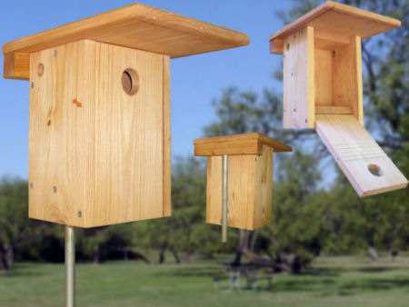 Xbox Bluebird nestbox