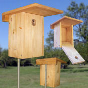 Xbox nestbox for Bluebirds